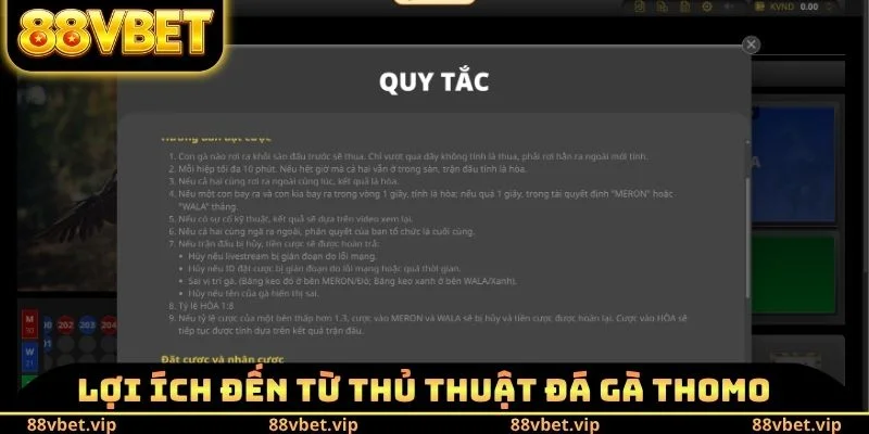 Lợi ích đến từ thủ thuật đá gà Thomo