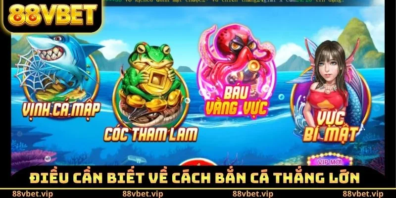 Sơ lược điều cần biết về cách bắn cá thắng lớn
