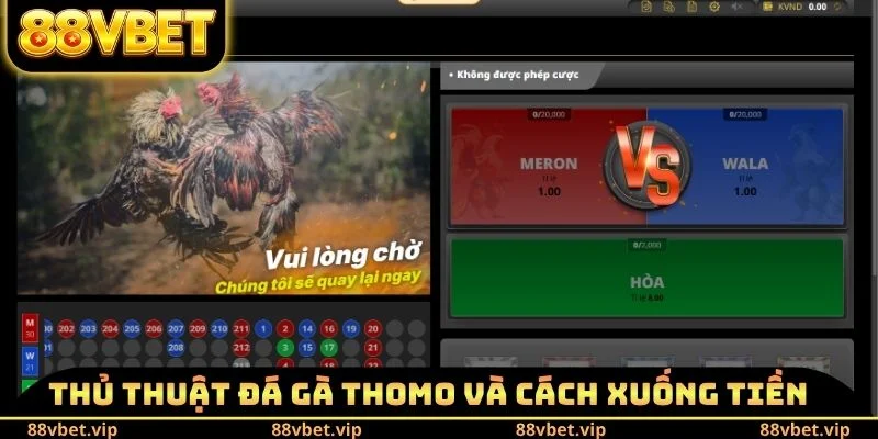 Thủ thuật đá gà Thomo và cách xuống tiền
