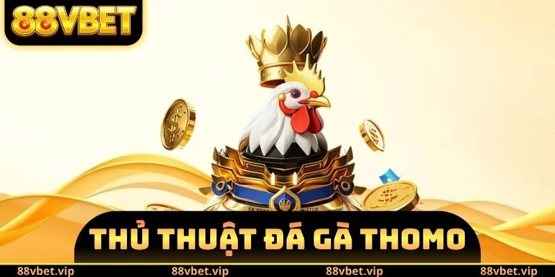 thủ thuật đá gà Thomo