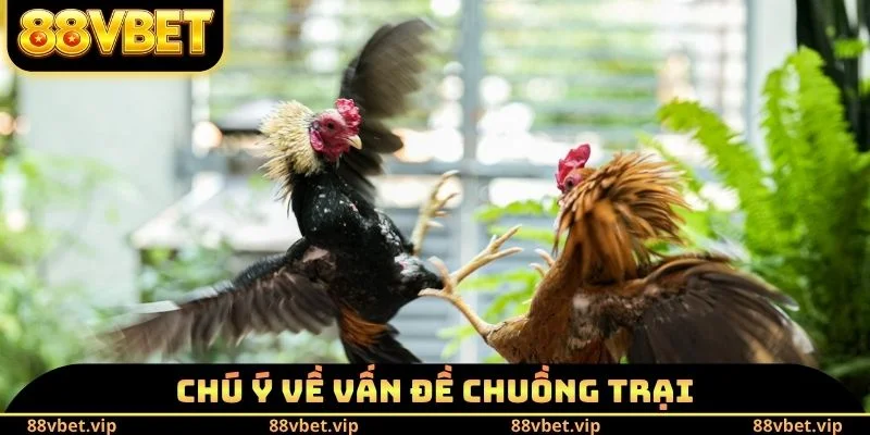Chú ý về vấn đề chuồng trại