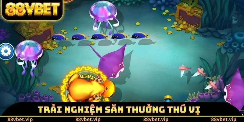 Trải nghiệm săn thưởng thú vị