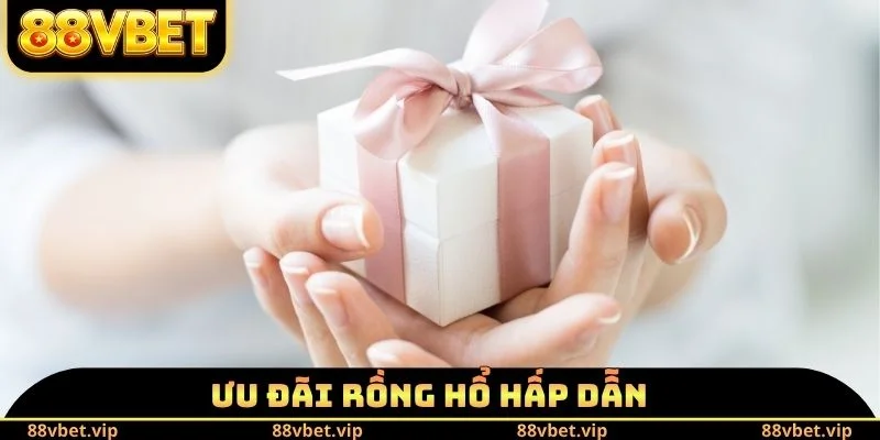 Ưu đãi rồng hổ hấp dẫn